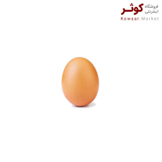 مهیار تخم مرغ قهوه ای  9 تایی - 